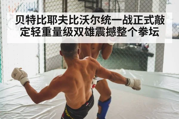 贝特比耶夫比沃尔统一战正式敲定轻重量级双雄震撼整个拳坛