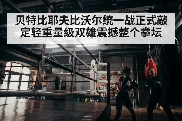 boxer training