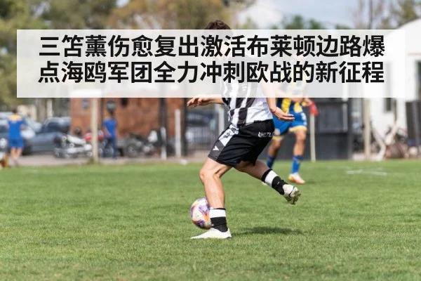 三笘薰伤愈复出激活布莱顿边路爆点海鸥军团全力冲刺欧战的新征程